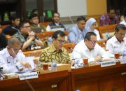 Nezar Patria Berharap Keputusan Naturalisasi Bisa Membawa Kebaikan Untuk Bangsa Indonesia