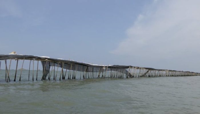 Petani Akan Ambil Langkah Hukum pada Pihak yang terlibat Pembangunan Pagar Laut di Pesisir Tangerang