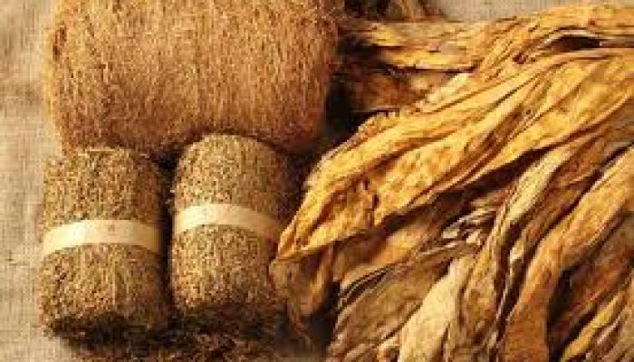 Krisis Harga Tembakau, Petani Lombok Pasrah dan Gantungkan Harapan pada Gubernur NTB